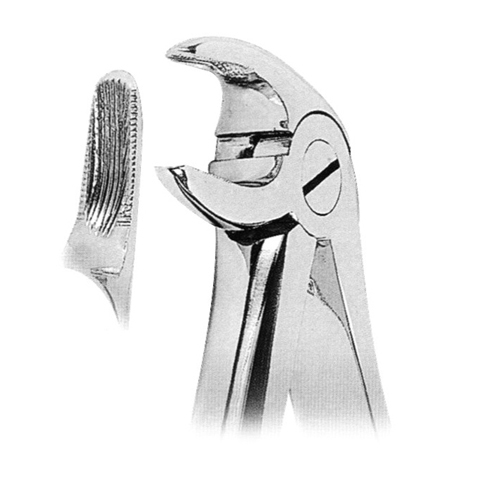 Extracting Forceps