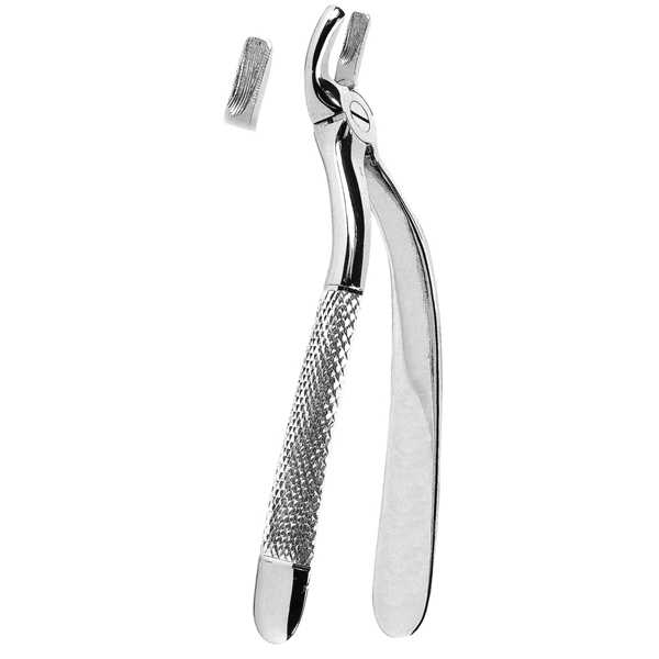 Extracting Forceps