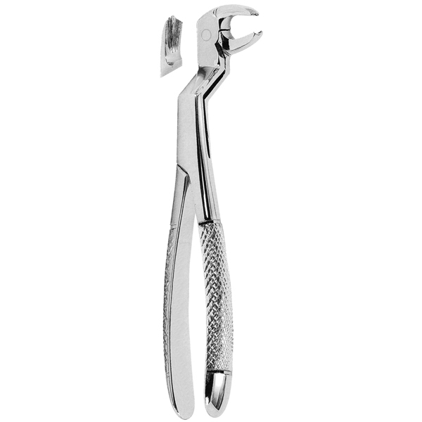 Extracting Forceps
