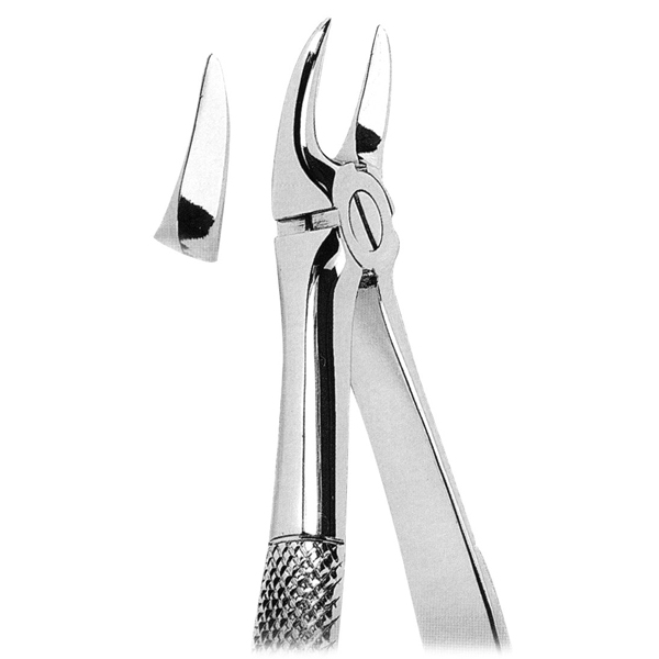 Extracting Forceps