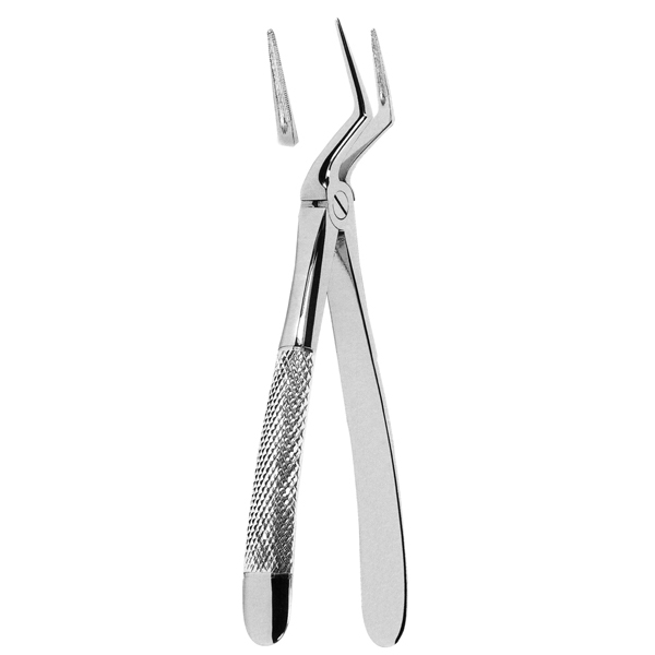 Extracting Forceps
