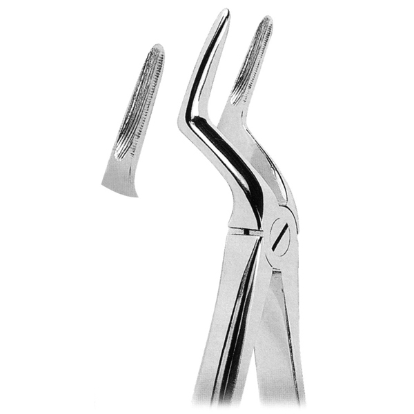 Extracting Forceps