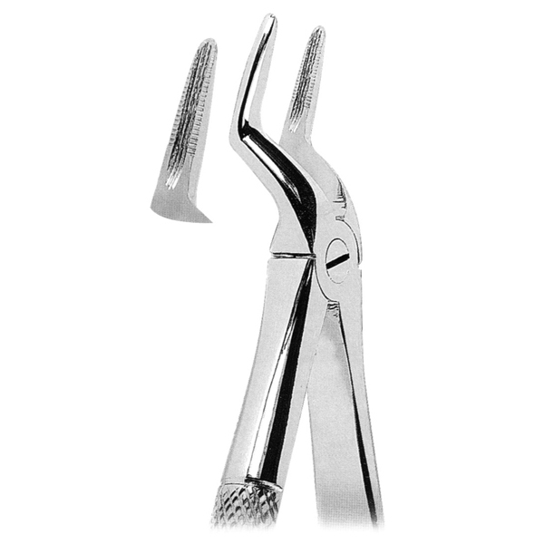 Extracting Forceps