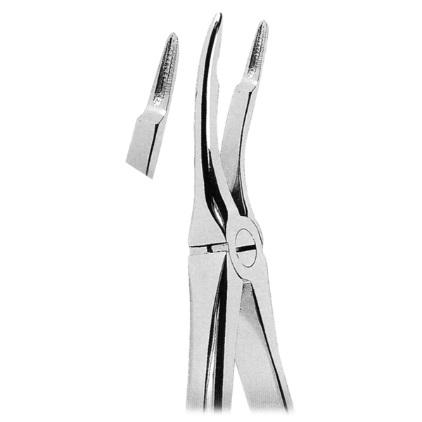 Extracting Forceps