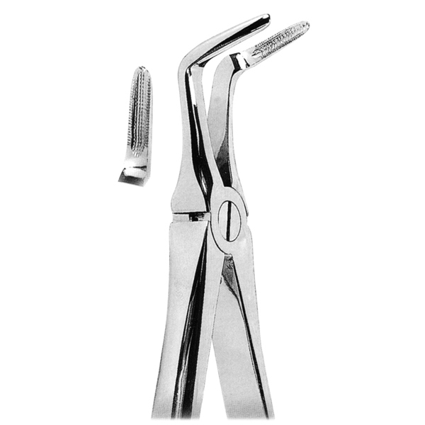 Extracting Forceps