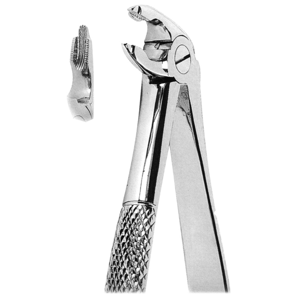 Extracting Forceps