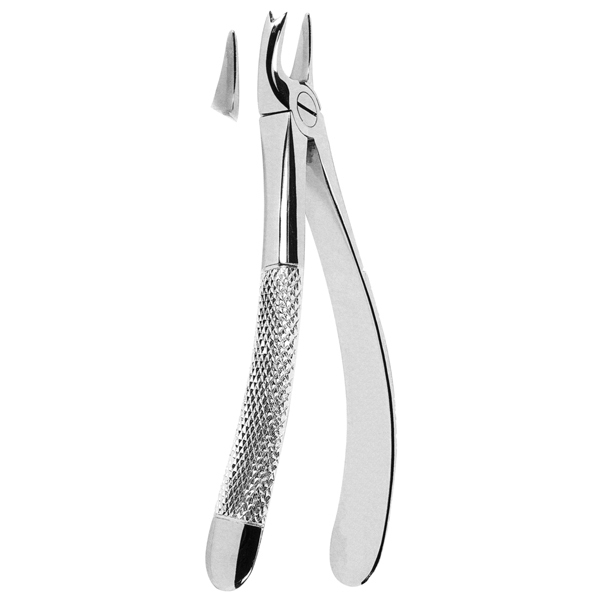 Extracting Forceps