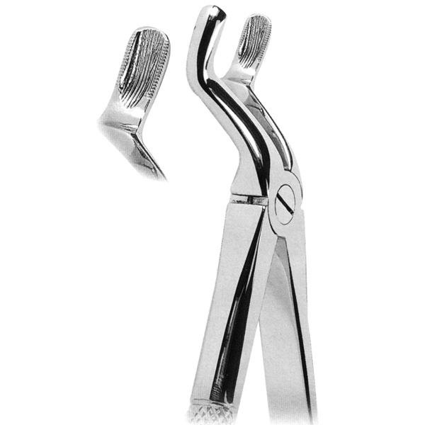 Extracting Forceps