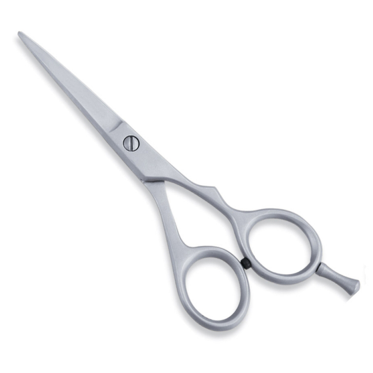 Economy Hair Scissors