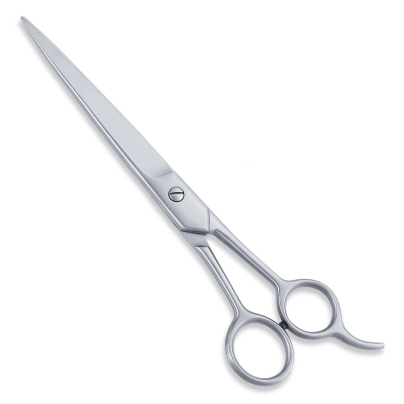 Economy Hair Scissors