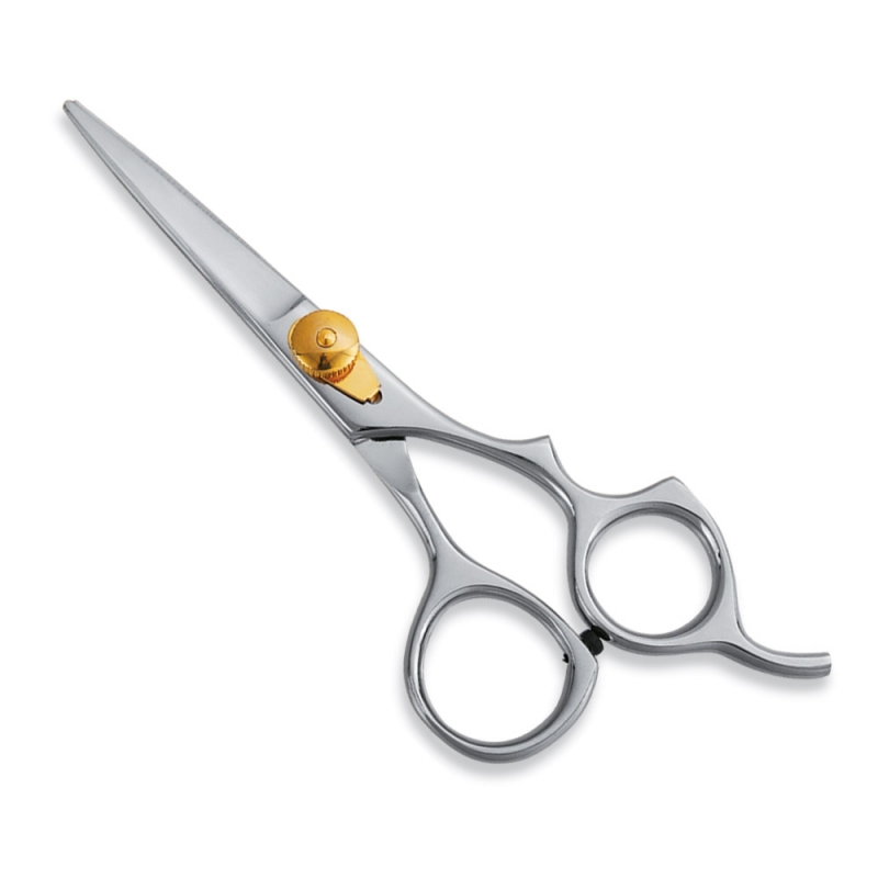 Professional Hair Sicssors