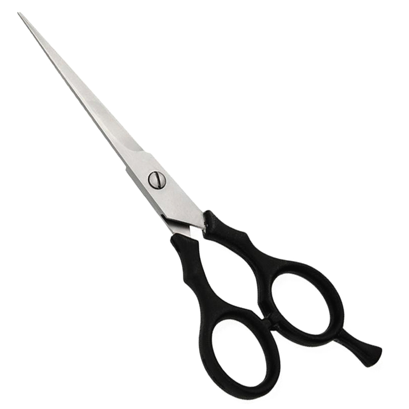 Plastic Handle Scissors