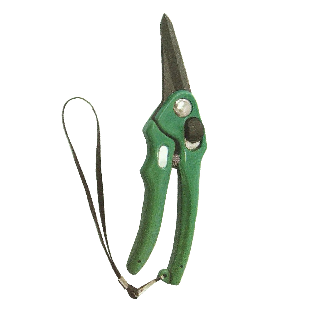 Foot Rot Shears