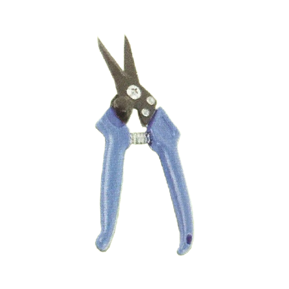 Foot Rot Shears