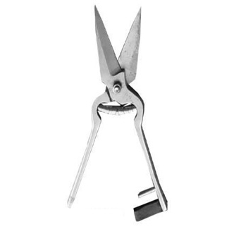 Foot Rot Shears