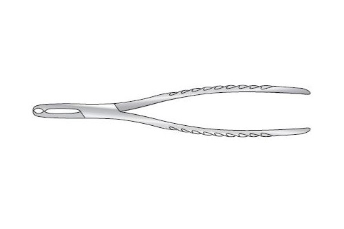 FERGUSSONS BONE HOLDING FORCEP